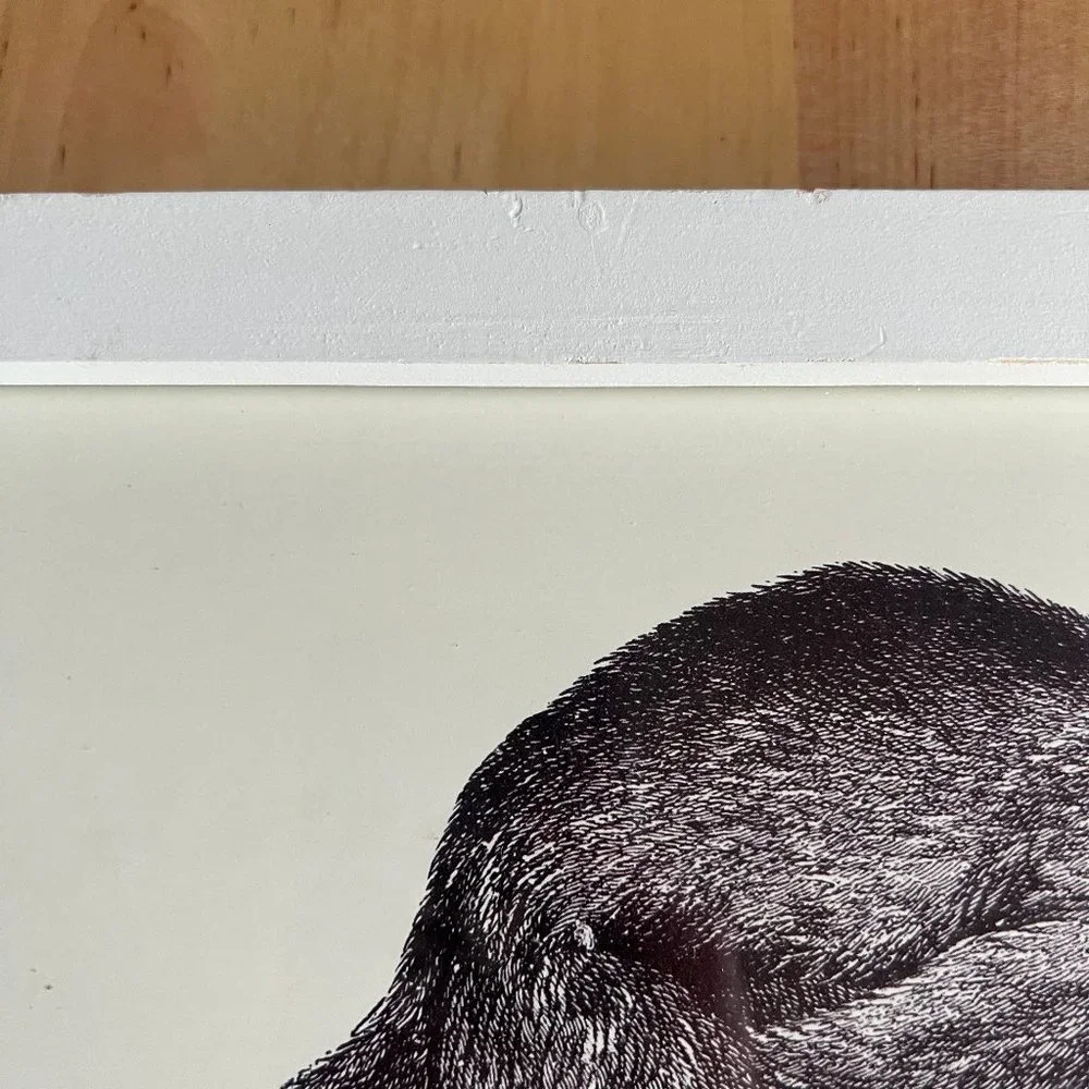 Urban Outfitters Framed Art - Picture 5 of 8